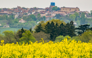 Verfeil vu du chemin d'En Bousquet 