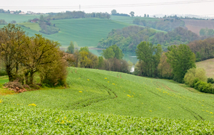 Lac de la Balerme en vue