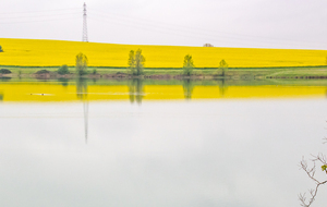  Premier contact avec les rives du lac et vue sur la rive tarnaise du côté de La Fontasse