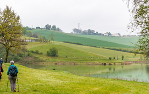 Sentier pédestre autour du lac