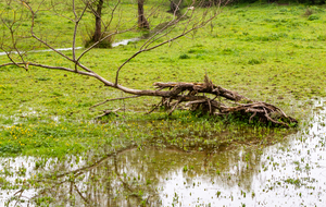Fond du lac, arrivée du ruisseau la Balerme