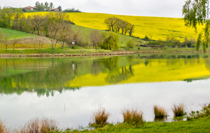 Vue sur la rive Haute Garonnaise (En Gris)