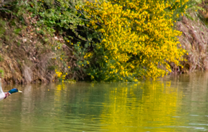 Dernière vue sur le lac: envol!