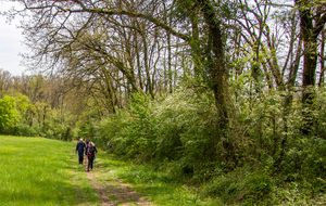 Bonne remontée par le chemin de Laraignal 