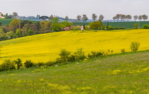 Vue autour de Verfeil avant En Garric
