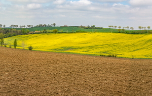 Vue sur Saint Sernin des Rais d'En Garric
