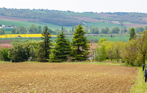 La vallée du Girou au pied de Verfeil