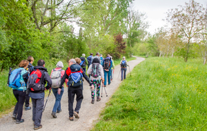  Pinsaguel: sur le chemin de Jordanis