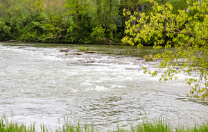 Pinsaguel: rive gauche de l'Ariège
