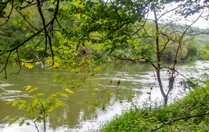 Pins-Justaret: rive gauche de l'Ariège 