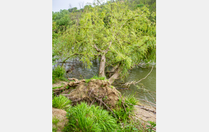 Pins-Justaret: encore une victime de l'érosion!