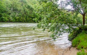 Pins-Justaret: ramier de Justaret 