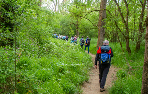 Labarthe sur Lèze: toujours rive gauche de l'Ariège