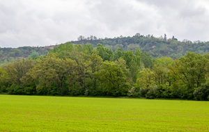 Labarthe sur Lèze: coteaux de Goyrans