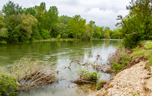Clermont-le-Fort: rive droite de l'Ariège