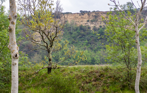 Clermont-le-Fort: le coteau