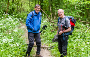 Goyrans: rive droite de l'Ariège
