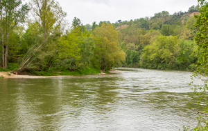 Goyrans: rive droite de l'Ariège