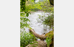 Goyrans: rive droite de l'Ariège, dans le ramier
