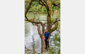 Goyrans: rive droite de l'Ariège