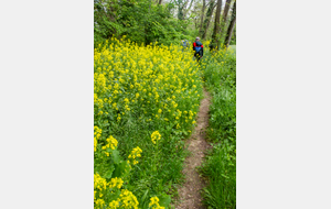 Pinsaguel: toujours rive gauche de l'Ariège 
