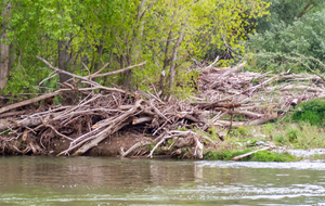 Rives droites Ariège et Garonne