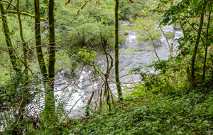 L'Agout vu de la Voie verte de La Barque