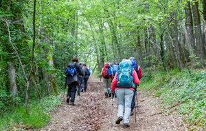 Montée direction Bringarié 