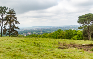  Dans la montée direction Bringarié 
