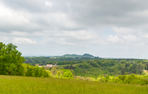 Dans la montée direction Bringarié 