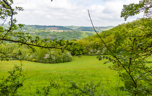 Vue dans la direction de Roquecourbe