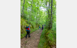 Descente vers le méandre de l'Agout par Les Combettes