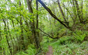 Proche du méandre de l'Agout à Roquecourbe