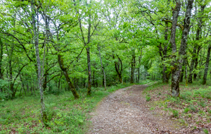Belle montée jusqu'à la Simonié 