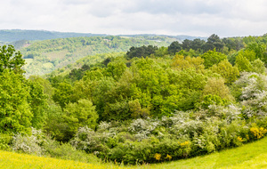 Belle vue sur la vallée de l'Agout au nveau de Roquecourbe