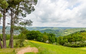 Belle vue sur la vallée de l'Agout au nveau de Roquecourbe