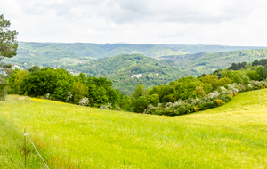 Belle vue sur la vallée de l'Agout au niveau de Roquecourbe