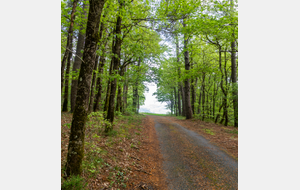 Pas finie la montée!!
