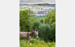 La Simonié, Roquecourbe en contrebas