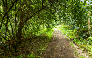 Descente délicate, pentue et parfois glissante 