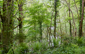 Descente délicate, pentue et parfois glissante : l'Agout en vue