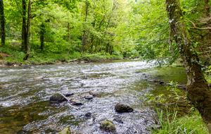 Bord de l'Agout (rive droite)