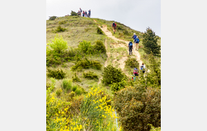 Point 290 m au-dessus de la Coume David