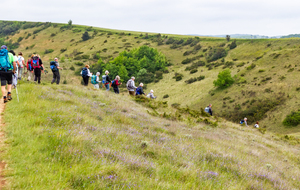 Montée vers Mascary  