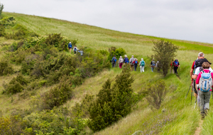 Montée vers le point 320m