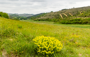 Au-dessus de La Fourtanière