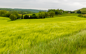  Près de Coume d'En Gal à proximité de la D6