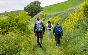 Près de Coume d'En Gal en s'éloignant de la D6