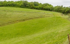 Vue sur le point 330m