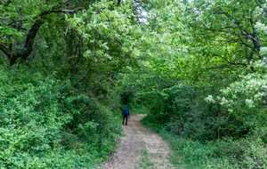 Au bas du point 330m